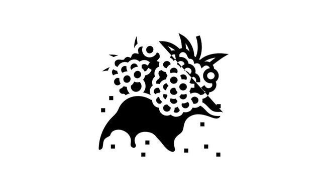 splash raspberry fruit berry line icon animation