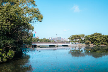 Fototapeta na wymiar 【福岡】大濠公園の風景