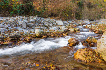 River flowing in the autumn forest.