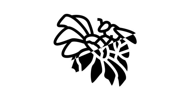 bee spring flower line icon animation