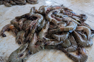 pile of fresh shrimp from fishermen being sold in the market