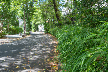 東京都国分寺市　史跡通り　武蔵国分寺跡　伝鎌倉街道