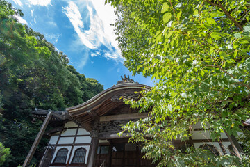 武蔵国分寺　東京都国分寺市　真言宗