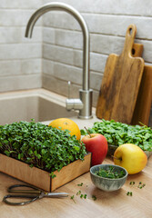 Assortment of micro greens on wooden table