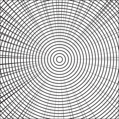 Fototapeta premium A Comic and Cartoon Background Effect