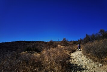 Obraz premium autumn