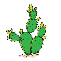 bunny ears cactus sketch hand drawn vector green succulent. garden cacti. easter plant vintage color line illustration