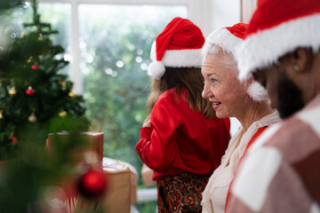 Happy smiling senior woman with christmas at home,Old age and people concept.