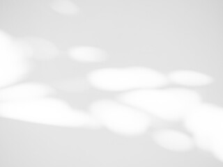 Abstract Background Shadow Leaves From window House Effect,Overlay Construction Concrete Grey Cement Wall backdrop,Premium Design Mock up Banner Card Poster for Presentation Atumn Season Concept.