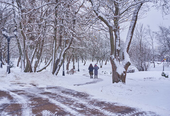 people walking in winter forest