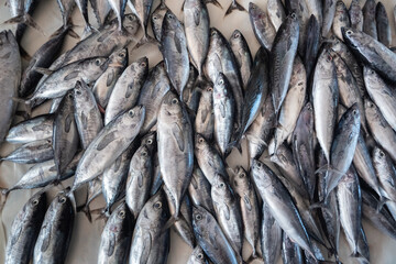 heaps of fresh fish caught by fishermen being sold in traditional markets