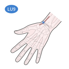 태연 혈자리 경혈 일러스트