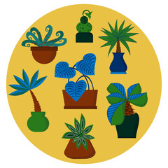 Vector set of colorful cactus plants in colored pots with outlines. Exotic and Tropical Plants