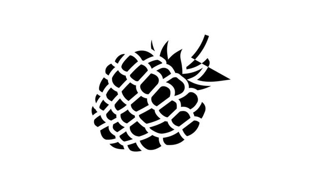 raspberry berry leaf line icon animation