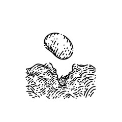 seed sketch hand drawn vector plant vegetable, farm garden, nature bean