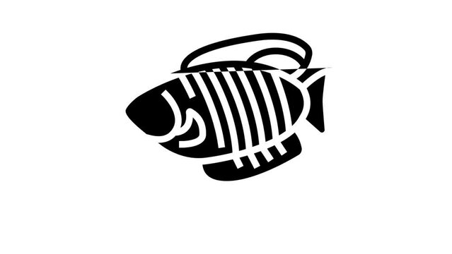 gourami fish line icon animation