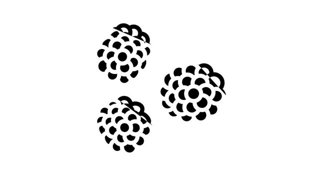 juicy berry blackberry line icon animation