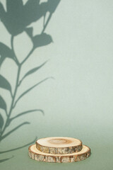 제품 촬영을 위한 연단과 식물 그림자 컨셉