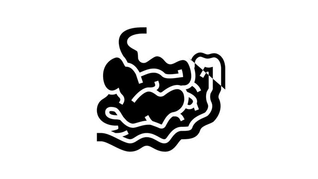intestine human organ line icon animation