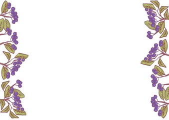 The frame is made of wild berries of blue color.