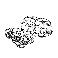 meat beef hand drawn vector. steak food, grill pork, bbq lamb meat beef sketch. isolated black illustration