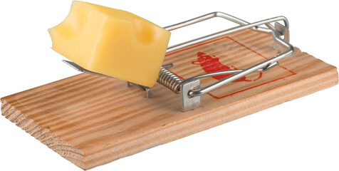 Danger mousetrap with cube cheese