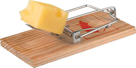 Danger mousetrap with cube cheese
