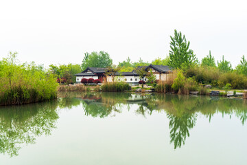 Fototapeta na wymiar Nanhu National Urban Wetland Park, Huaibei, Anhui, China