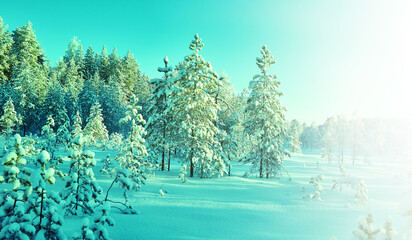 Beautiful Christmas Winter