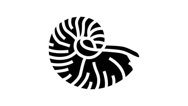 nautilus sea shell beach line icon animation