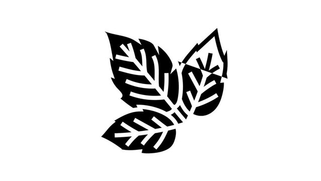 leaves raspberry fruit line icon animation