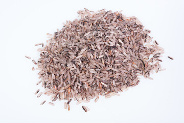 Thai Riceberry rice : Close-up pile of rice called riceberry rice , rice with high nutrients  on white background.