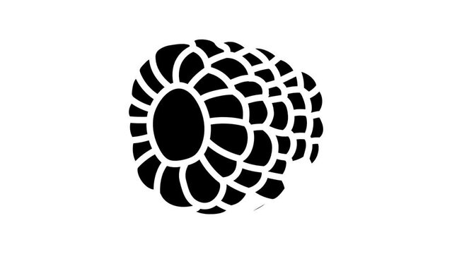 ripe juicy raspberry fruit line icon animation