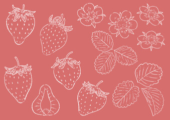 苺の線画イラスト素材