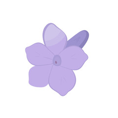 Vector image of purple lavender. Blooming bud with highlights on the petals