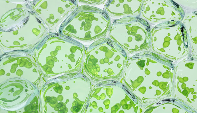close up macro Nano chlorophyll or chloroplast biotech concept 3d illustration render green background. chlorophyll, chloroplast 