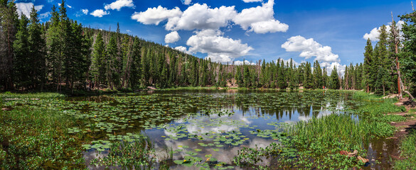 Nymph Lake with Lily Pads and Cloud Reflection in Water, Rocky Mountain National Park, Colorado