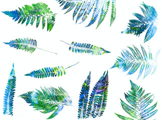 texture of fern foliage imprint on paper, stamp from leaf texture - collection © Vera Kuttelvaserova