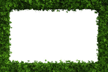 Green leaves border isolated on transparent background - 3D Illustration