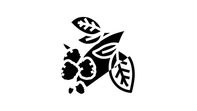 branch plant blackberry line icon animation