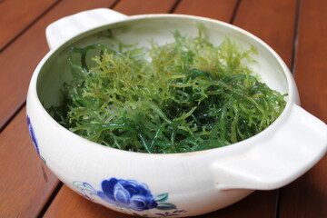 Seaweed (Eucheuma cottonii) in a white bowl with blue floral pattern and wood background. Usually used to make Indonesian traditional snack dodol.