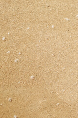close up of sand on the beach as background