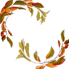 Curved autumn leaves branches for frames, isolated