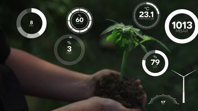 Smart digital agriculture technology by futuristic sensor data collection management by artificial intelligence to control quality of crop growth and harvest. Computer aided plantation grow concept