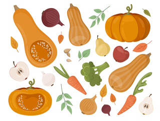 Vector set of many fruits, vegetables. Whole, half-cut apples and pears, different varieties big pumpkins, broccoli, bright carrots, onions. Decorative art elements for banner or print layout design.