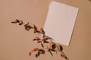 Blank branding paper card sheet with mockup copy space and  dried twig, on beige background.