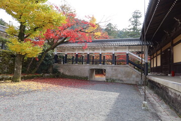 A Japanese temple in Kyoto City: a scene of autumnal leaves and a connecting corridor in the entrance precincts of Nanzen-ji Temple in Japan　日本の京都市のお寺：南禅寺境内にある渡り廊下と紅葉の風景