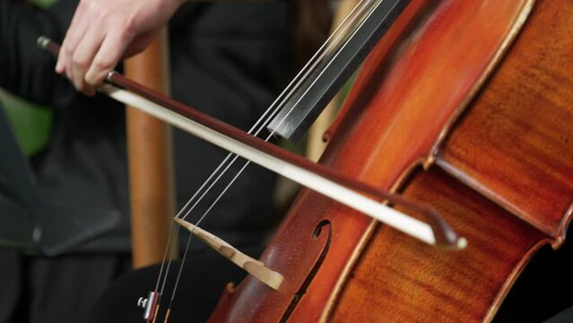 Close up shot of women hand on the violin. Violin player hands. Violinist playing violin close up
