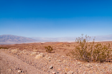 wüstenlandschaft in kalifornien