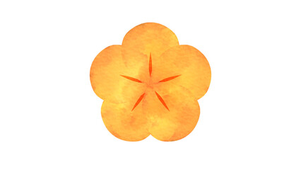 金色のねじり梅の花の水彩風背景透過イラスト